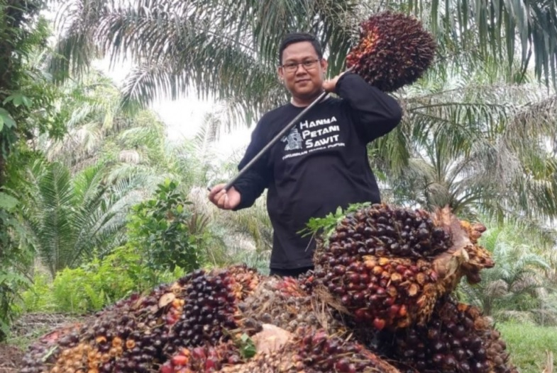 Harga TBS Kelapa Sawit Jambi Meroket  Sudah Mencapai Rp4.000/Kilo, Ini Harga Baru TBS 10-16 April 2026