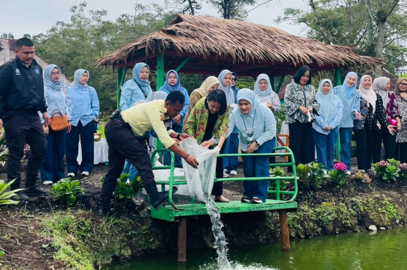 Ketahanan Pangan, IKBI PTPN Sebar Ikan Nila di kolam Stunting